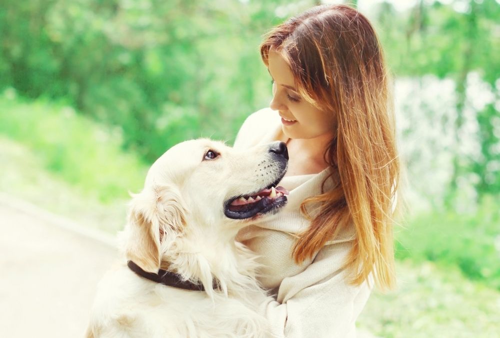 Do Dogs Recognize Facial Expressions?