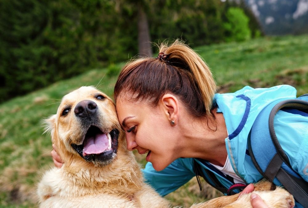 Weird Reasons Dogs Are Attracted To You 2